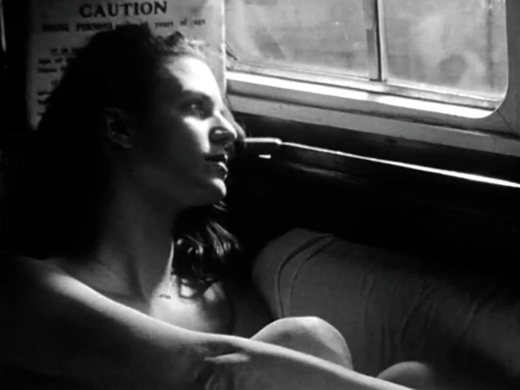 French Film Festival in the Czech Republic - 2011