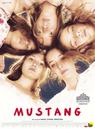 Mustang Mustang