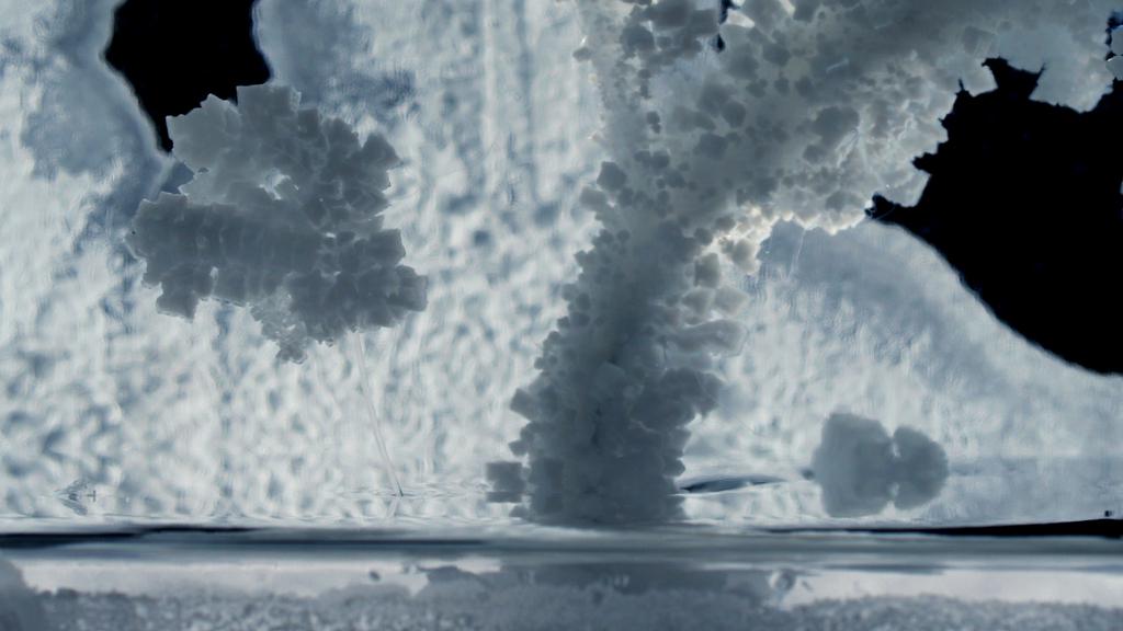 Locarno Film Festival - 2008 Locarno Film Festival - 2008