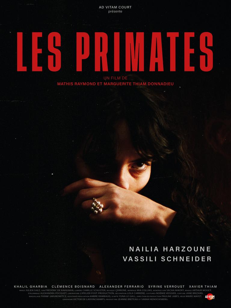 Les Primates Les Primates