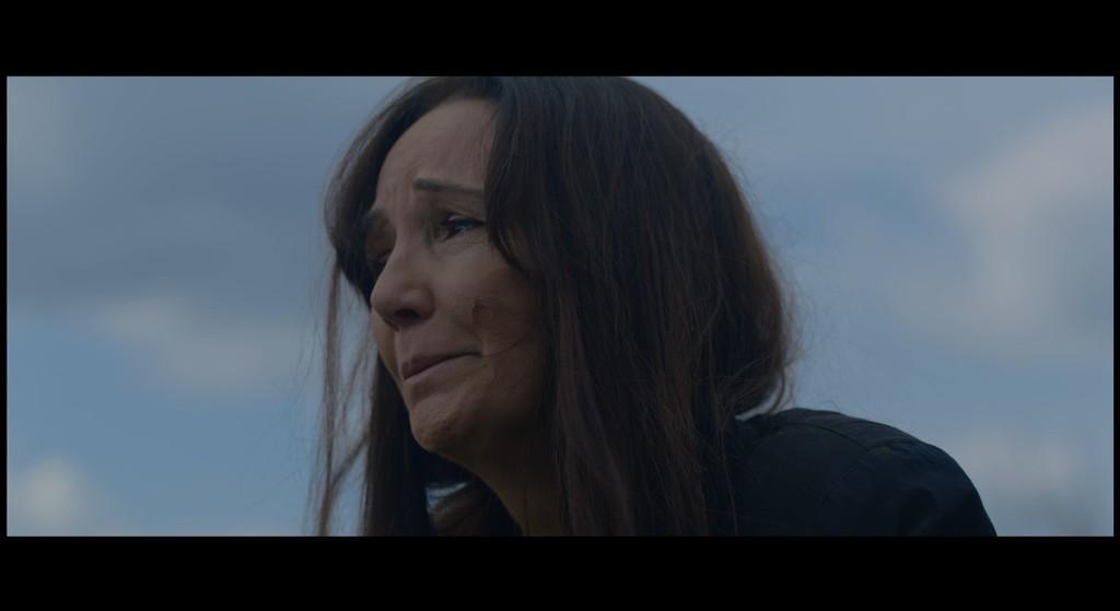 Mbjellja e pemëve Mbjellja e pemëve