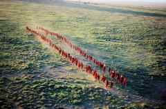 Masai the rain warriors Masai the rain warriors