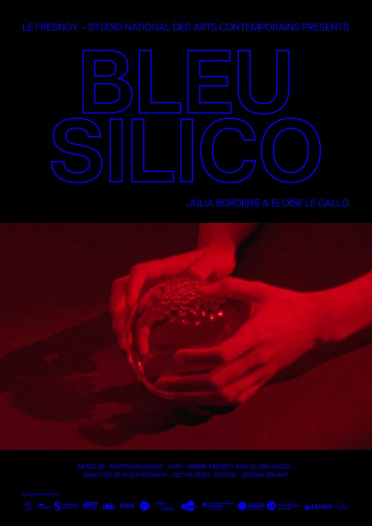 Bleu silico