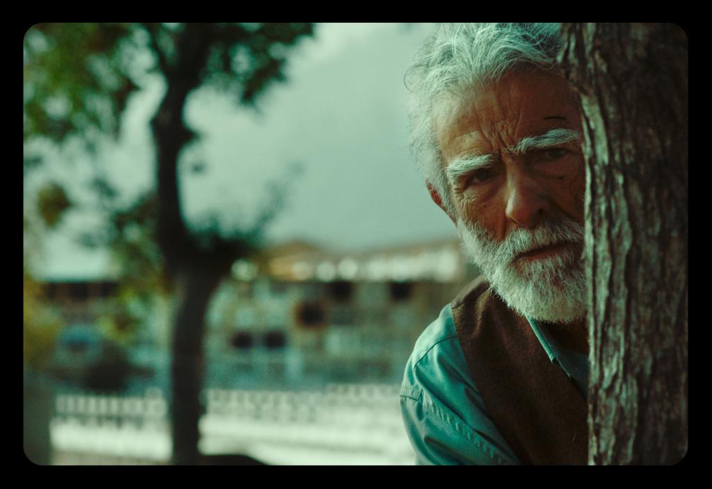 Festival de Cine de Gotemburgo - 2018