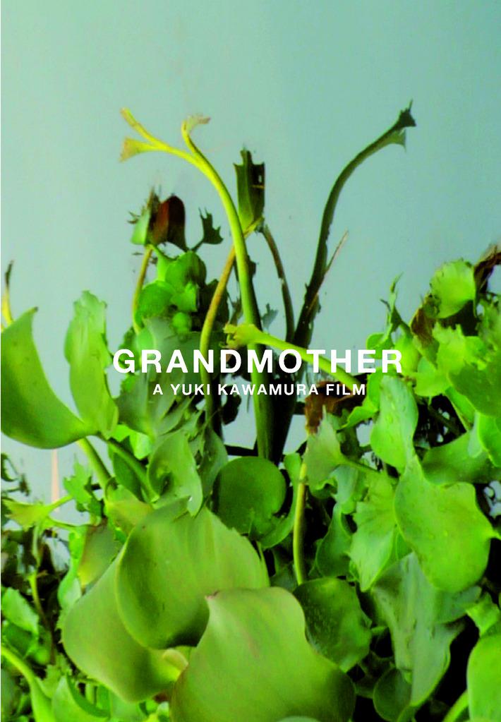 Grandmother Grandmother