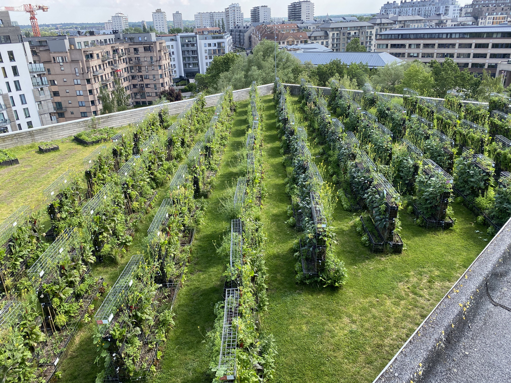 Green City Life - © Dao Production Green City Life - © Dao Production