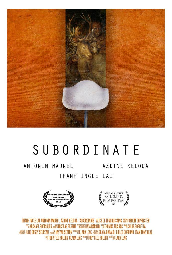Festival Internacional de Cortometrajes de Lovaina - 2015