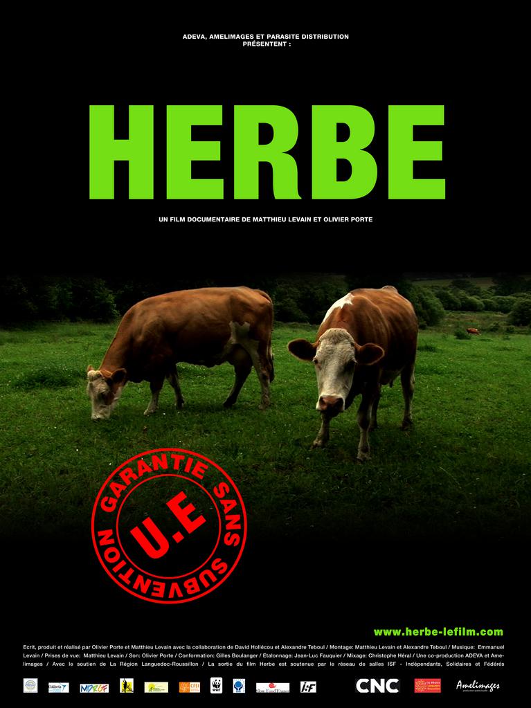 Herbe