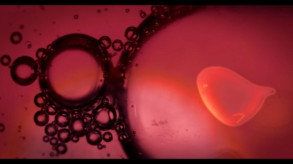 Natural yeasts - &copy; Paper Moon - France 3 Centre-Val de Loire - BIP TV -&nbsp;Val de Loire TV