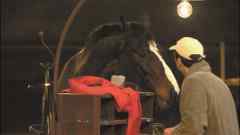 Riding Dostoevsky Riding Dostoevsky