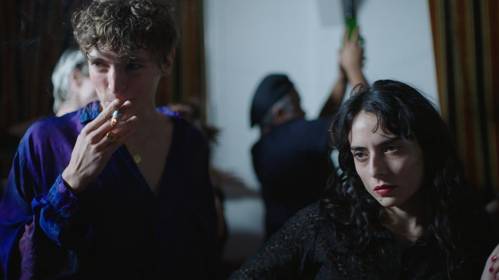 Les Primates Les Primates