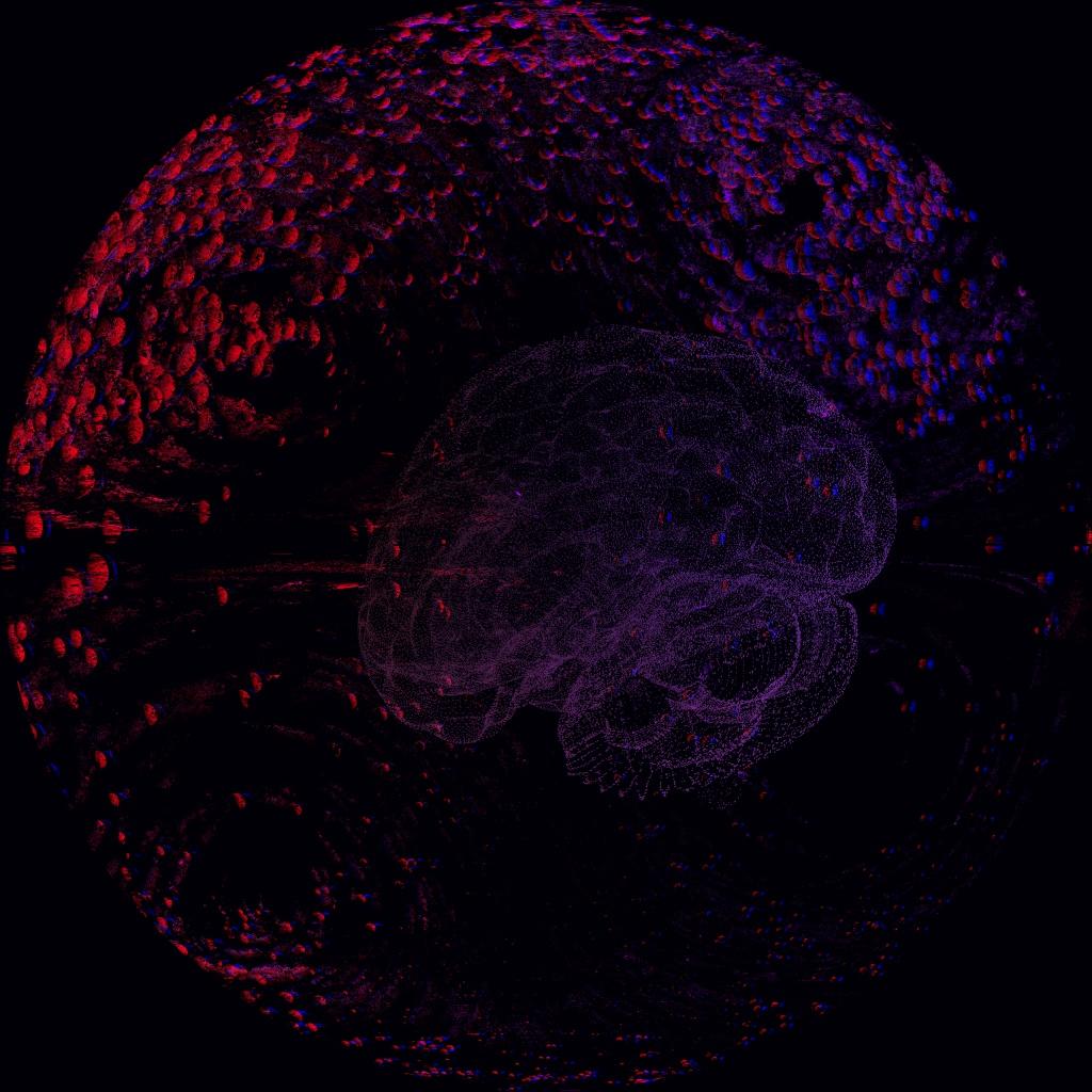 Exo-Cortex 3.0 Exo-Cortex 3.0