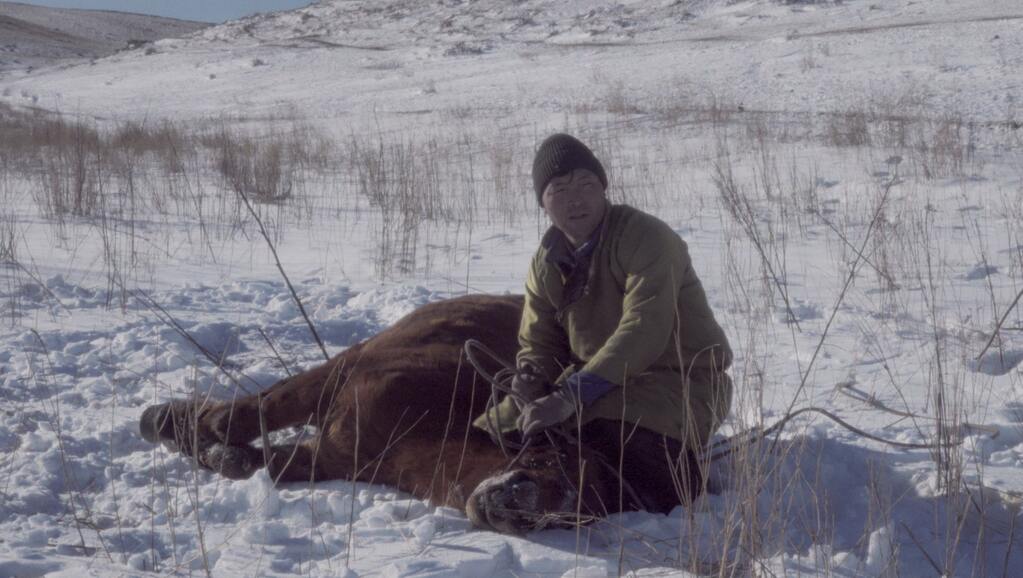 For Every Bird in the Sky For Every Bird in the Sky