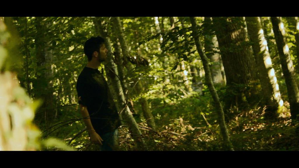 Sous les branches Sous les branches