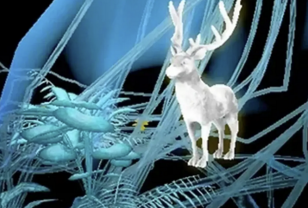 Mecal - 2024