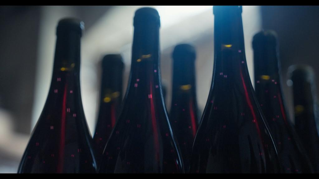 Natural yeasts - &copy; Paper Moon - France 3 Centre-Val de Loire - BIP TV -&nbsp;Val de Loire TV