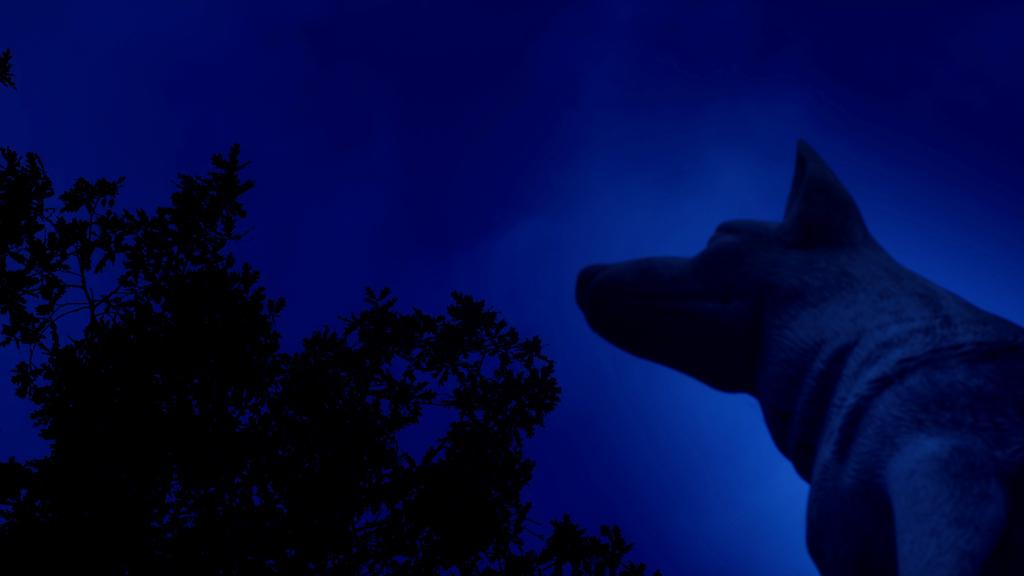 Une vie de Bob Une vie de Bob