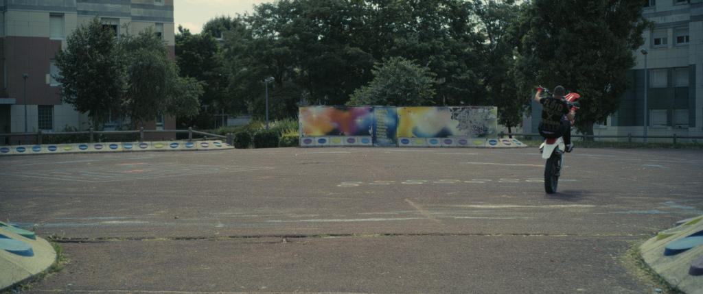 RIFF - 2019 RIFF - 2019