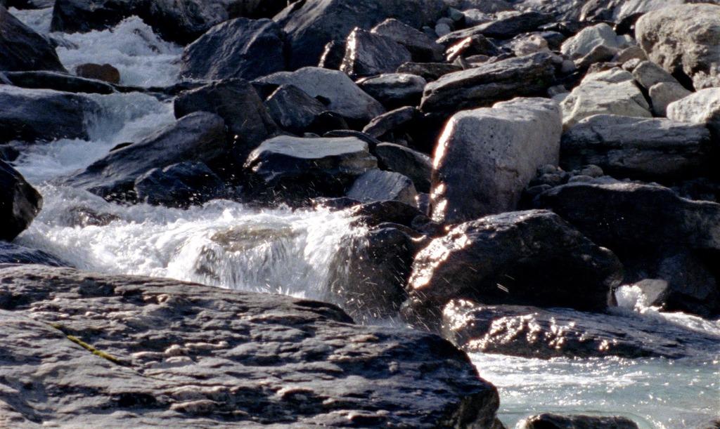 Transalpin Transalpin