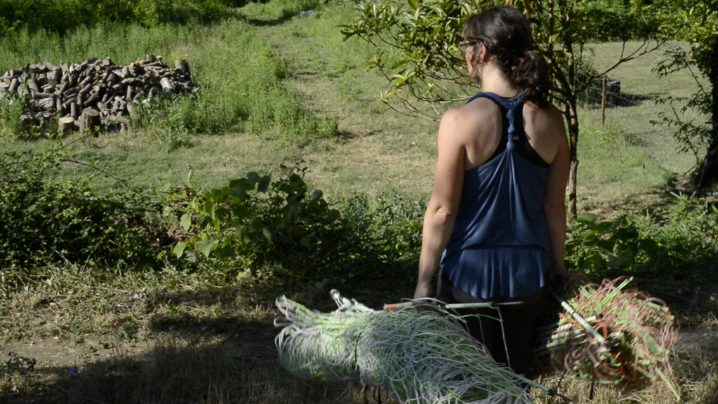 Cyril Bibas Cyril Bibas