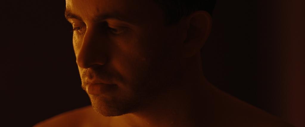 Sunflowers at Night Sunflowers at Night