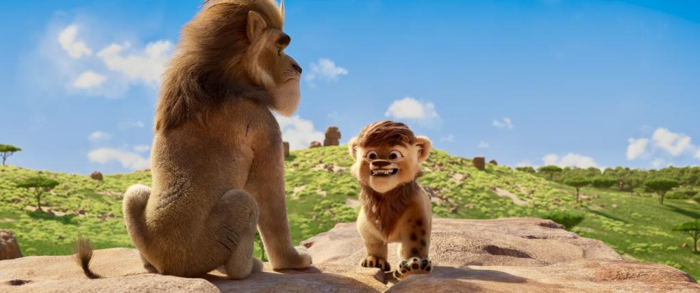 Panda Bear in Africa Panda Bear in Africa