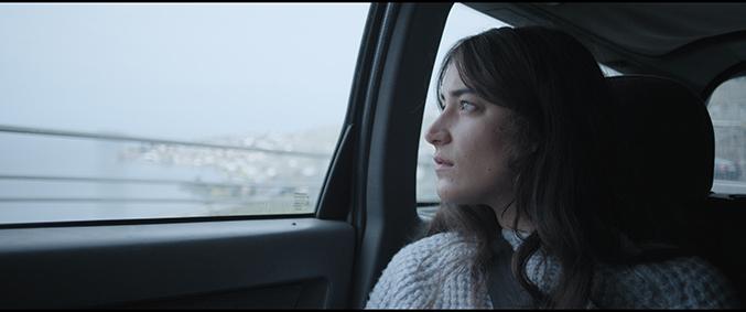 Rose Scales Rose Scales