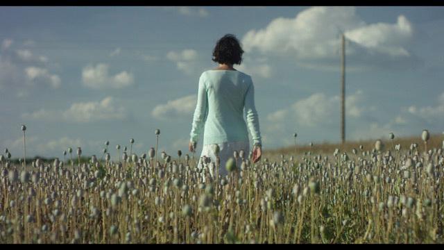 The Melody of Things The Melody of Things