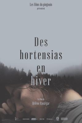 Hydrangeas in Winter Hydrangeas in Winter