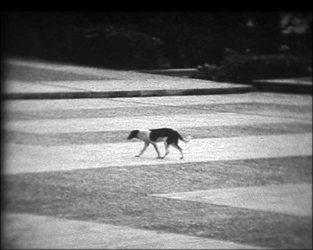 Guard's Change Guard's Change