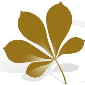 Festival du film de Varsovie Festival du film de Varsovie