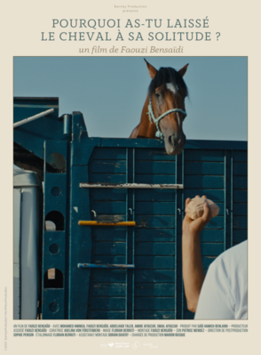 Why Did You Leave the Horse Alone? Why Did You Leave the Horse Alone?