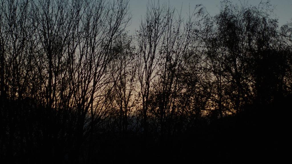 Pyromaniacs Pyromaniacs