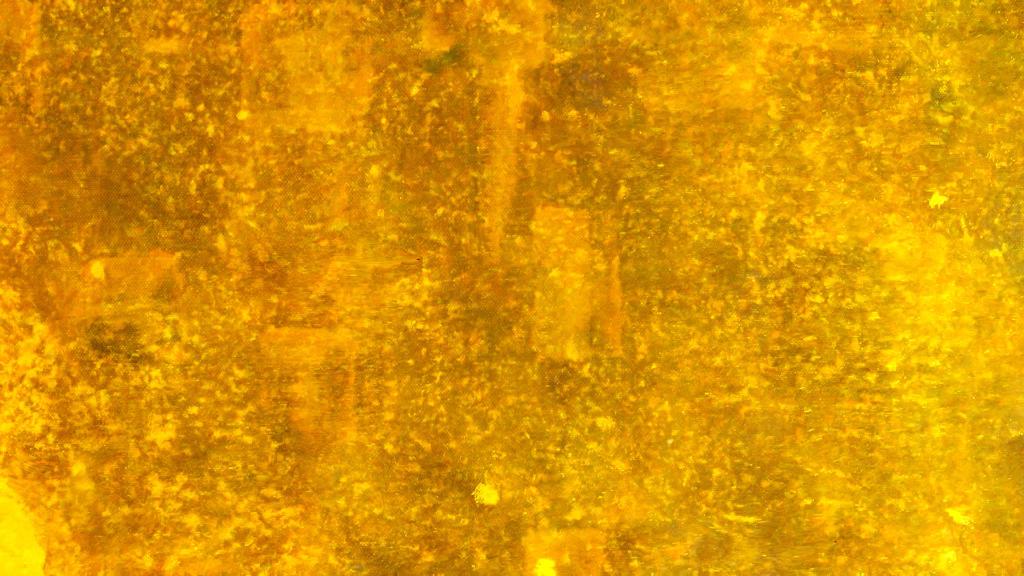 Or / Or, Hawick, May 18 Or / Or, Hawick, May 18