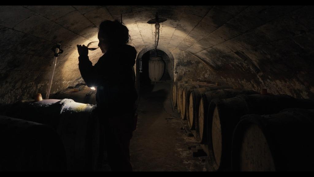 Natural yeasts - &copy; Paper Moon - France 3 Centre-Val de Loire - BIP TV -&nbsp;Val de Loire TV