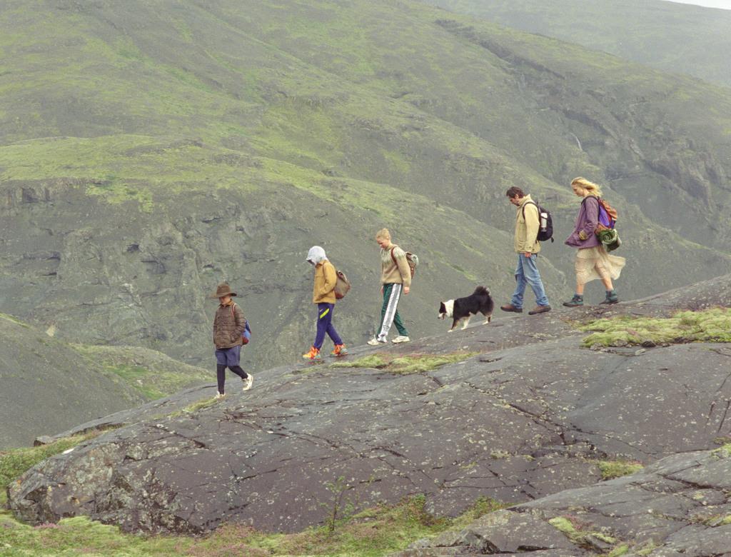 L'Amour qu'il nous reste L'Amour qu'il nous reste