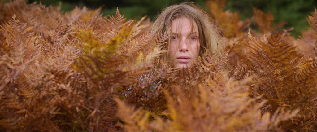 Sauvage - &copy; Dharamsala