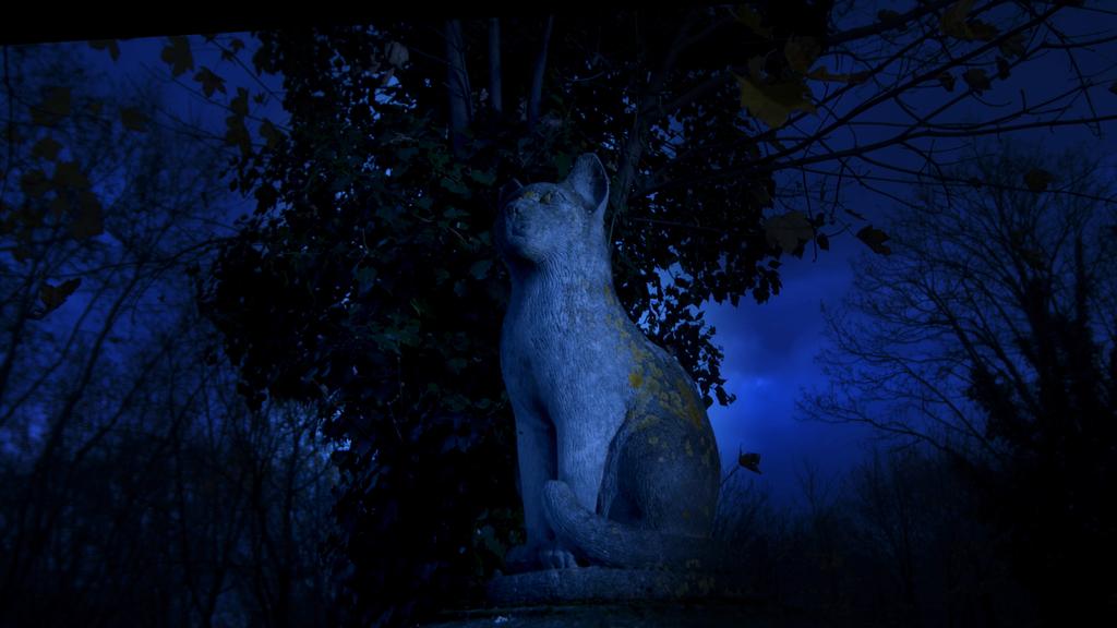 Une vie de Bob Une vie de Bob