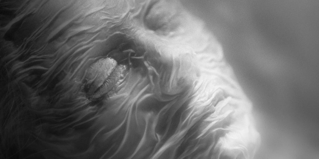 Sitges-Festival internacional de cinema fantàstic de Catalunya - 2024 Sitges-Festival internacional de cinema fantàstic de Catalunya - 2024