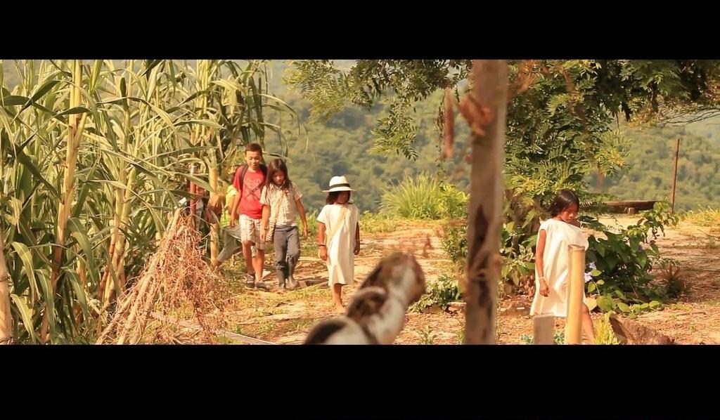 The Seeds of a New World The Seeds of a New World