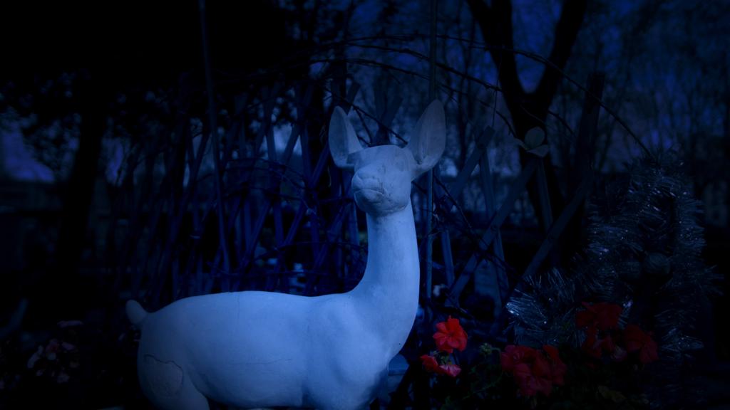 Une vie de Bob Une vie de Bob