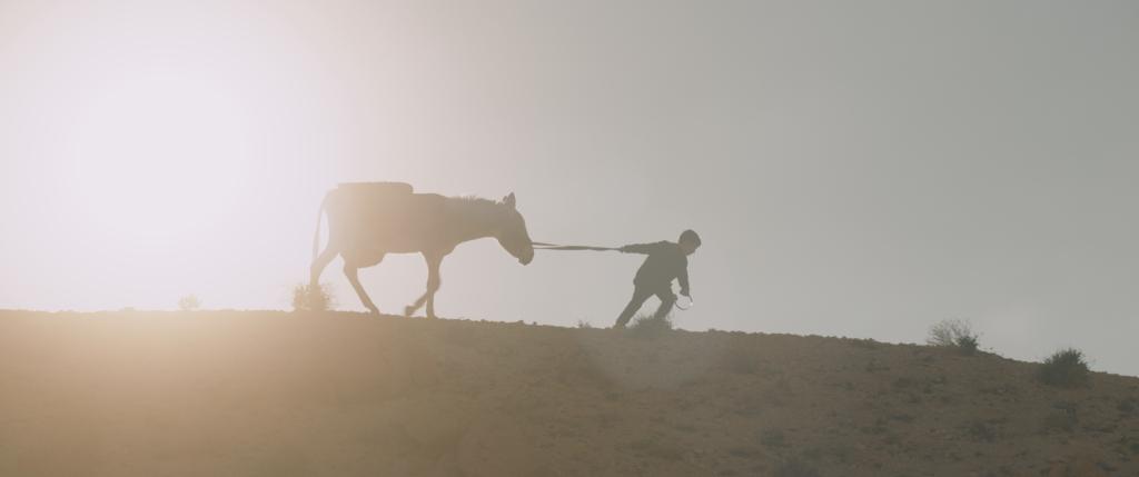 Festival itinérant de films européens d'Ankara - 2019 Festival itinérant de films européens d'Ankara - 2019