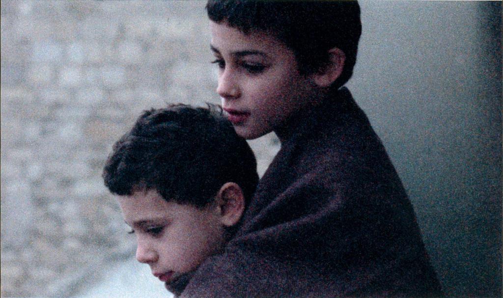 Festival Curta Cinema - 2005