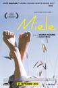 Miele Miele