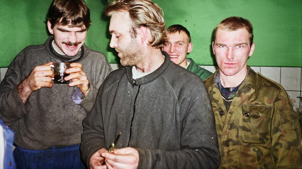 Dans la forêt de Borek Dans la forêt de Borek