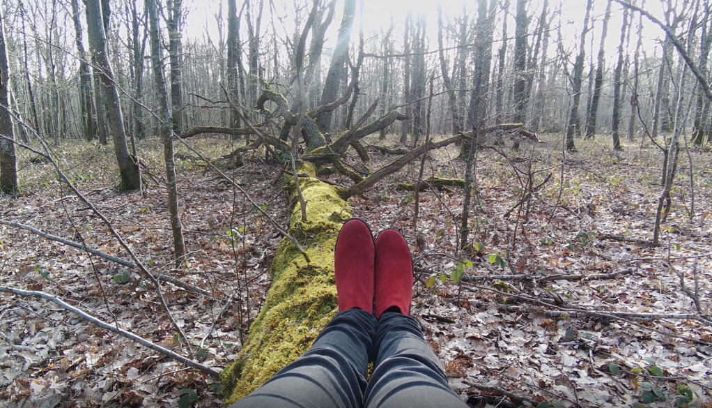 Elisa and Middle-earth Elisa and Middle-earth