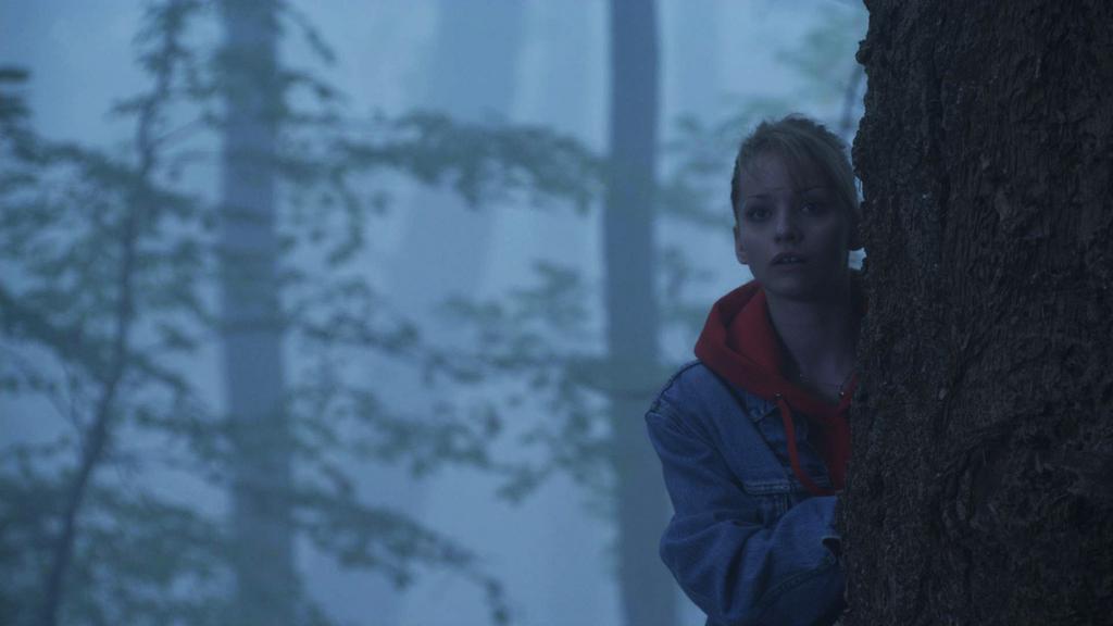 Oporto International Film Festival (Fantasporto) - 2012