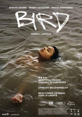 Bird - Belgium Bird - Belgium