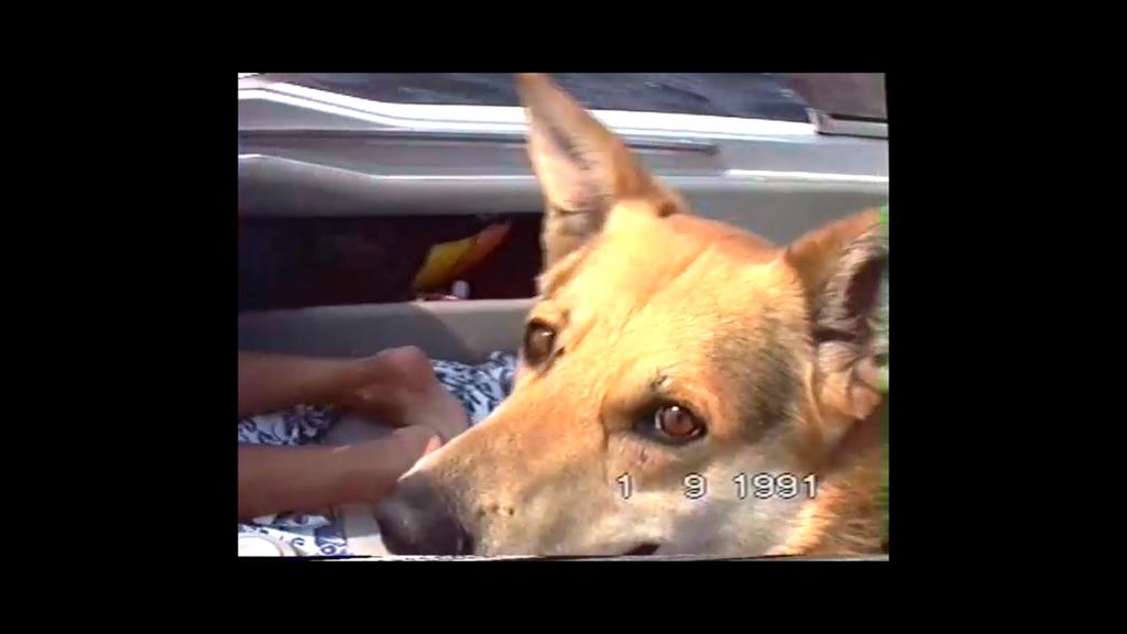 Une vie de Bob Une vie de Bob