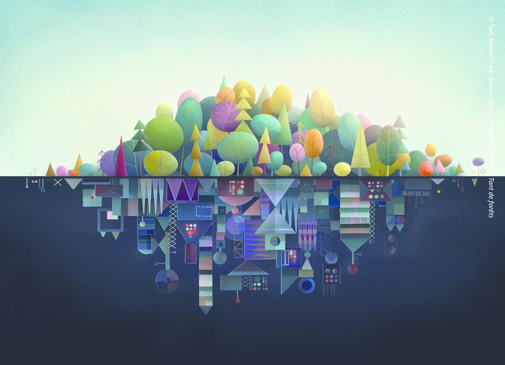 So Many Forests So Many Forests